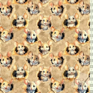 Objednávka pro pani Míša Fořterová